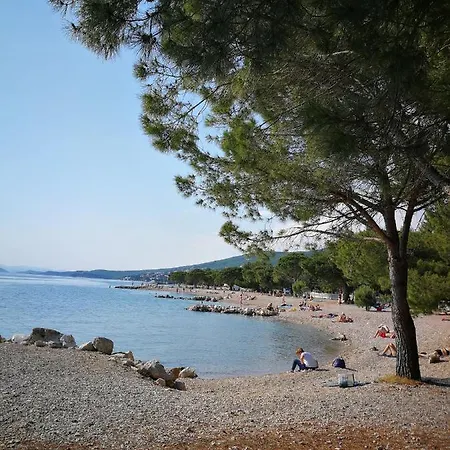 Maja ツリクヴェニツァ