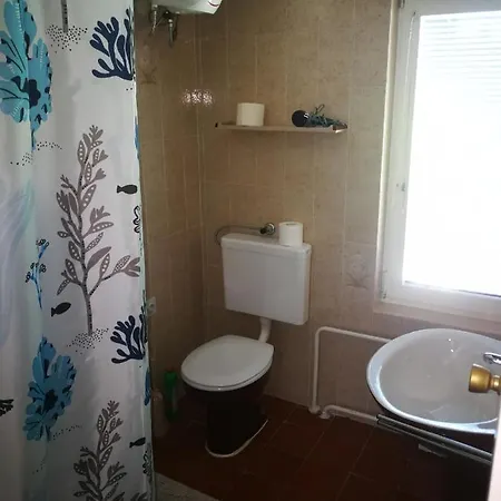 Maja ツリクヴェニツァ